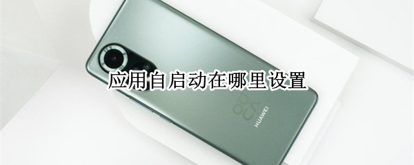 应用自启动在哪里设置