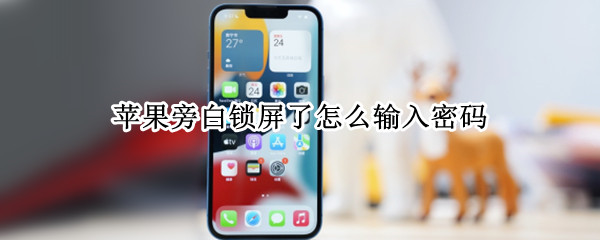 苹果旁白锁屏了怎么输入密码