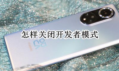 怎样关闭开发者模式 手机进入开发者模式怎么关
