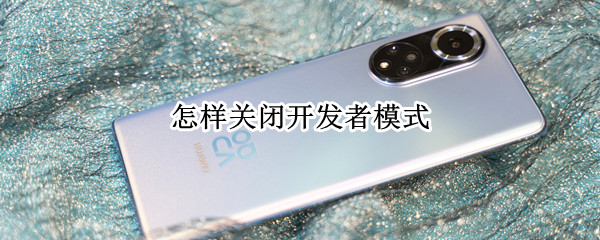 怎样关闭开发者模式