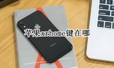 苹果xrhome键在哪 苹果xrhome键怎么设置选项