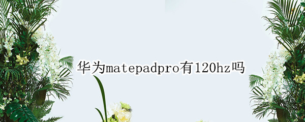 华为matepadpro有120hz吗