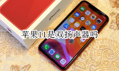 苹果11是双扬声器吗 iphone11是双扬声器么