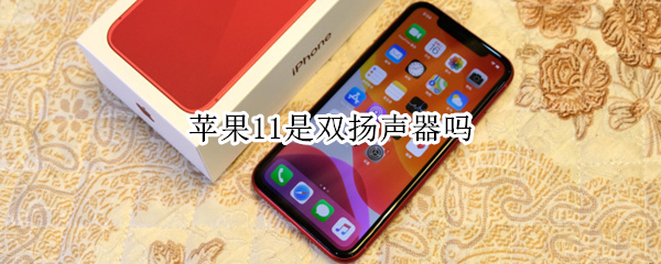 苹果11是双扬声器吗