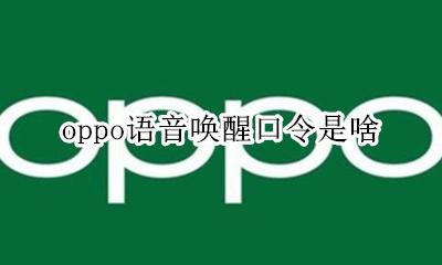 oppo语音唤醒口令是啥 oppo语音助手怎么唤醒叫什么