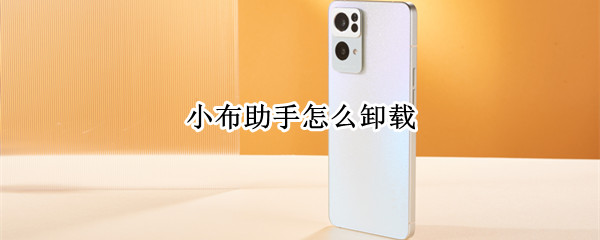 小布助手怎么卸载