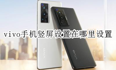 vivo手机横竖屏设置在哪 vivo手机竖屏设置在哪里设置