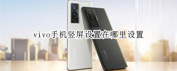 vivo手机竖屏设置在哪里设置