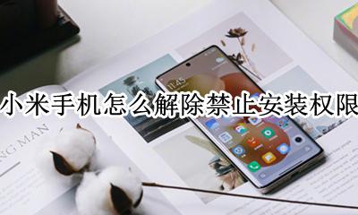 小米手机怎样设置禁止安装 小米手机怎么解除禁止安装权限