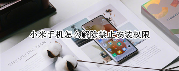小米手机怎么解除禁止安装权限