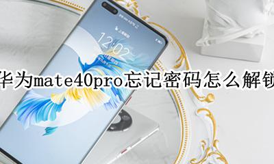 华为mate40忘记密码怎么样解锁 华为mate40pro忘记密码怎么解锁