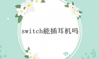 switch能插耳机吗 任天堂switch可以插什么耳机