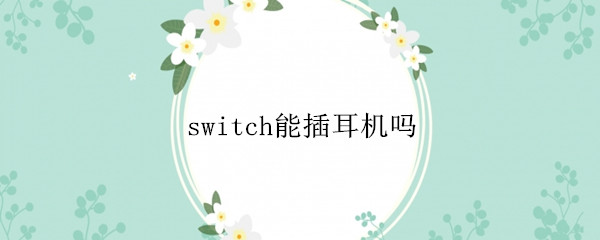 switch能插耳机吗