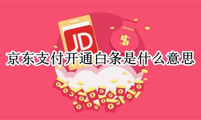 京东支付开通白条是什么意思 京东买东西开通白条支付是什么意思