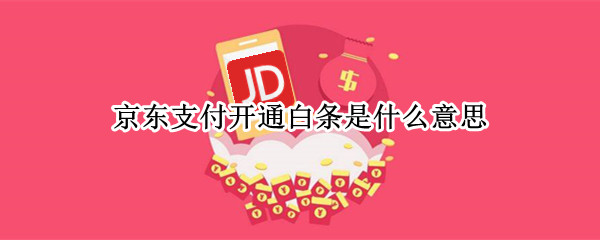 京东支付开通白条是什么意思