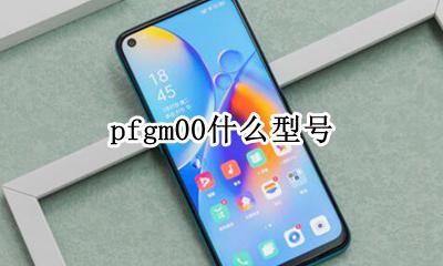 pfgm00什么型号 pafm00是什么型号