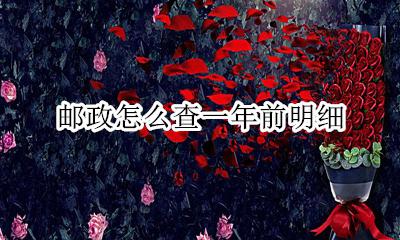 邮政怎么查一年前明细 邮政银行怎样查两年前的明细