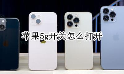 苹果5g开关怎么打开 iphone怎么打开5g开关