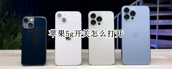苹果5g开关怎么打开