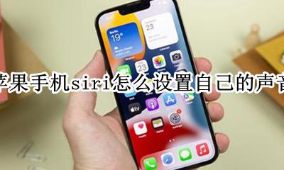 苹果如何设置siri用自己的声音 苹果手机siri怎么设置自己的声音