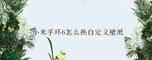 小米手环6怎么换自定义壁纸