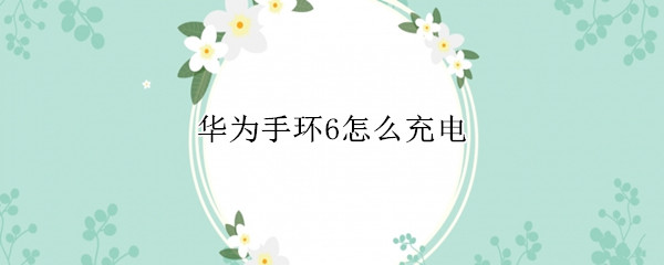 华为手环6怎么充电