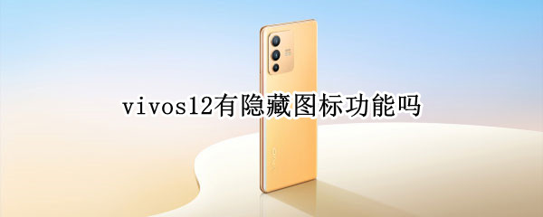 vivos12有隐藏图标功能吗
