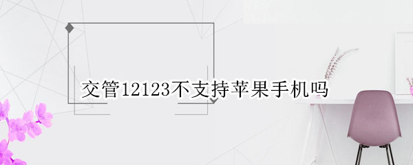 交管12123不支持苹果手机吗