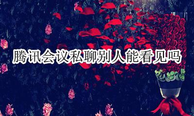 腾讯会议可以私聊别人吗 腾讯会议私聊别人能看见吗