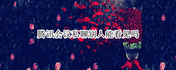 腾讯会议私聊别人能看见吗