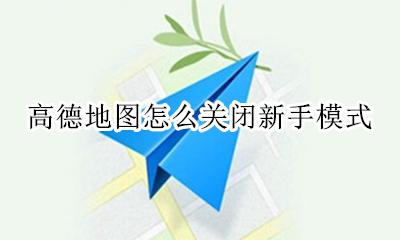 高德地图怎么关闭新手模式 高德地图关闭自动调整路线