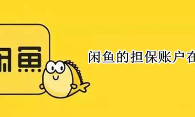 闲鱼的担保账户在哪 闲鱼担保的钱在哪里可以看见