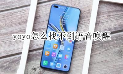 你好yoyo唤醒不了 yoyo怎么找不到语音唤醒