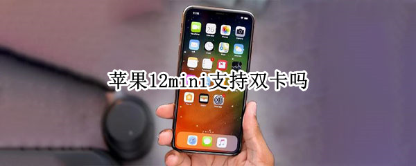 苹果12mini支持双卡吗