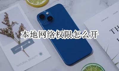 本地网络权限怎么开 怎么开启本地网络访问权限