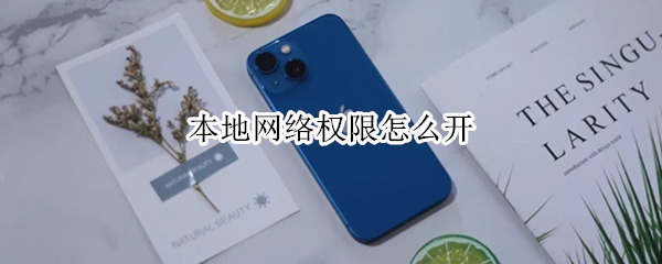 本地网络权限怎么开