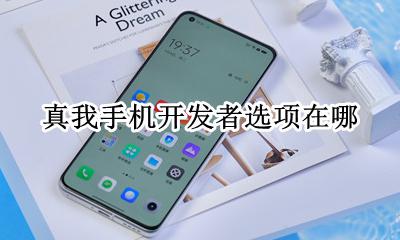 真我手机开发者选项在哪 手机里的开发者选项在哪