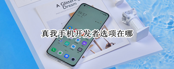真我手机开发者选项在哪