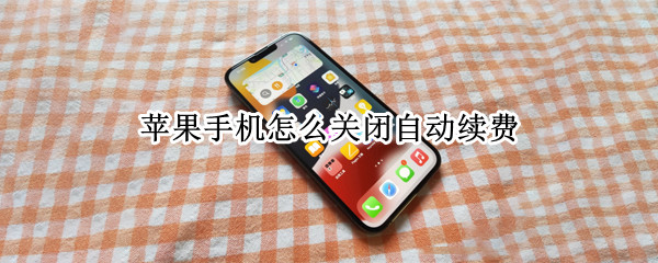 苹果手机怎么关闭自动续费