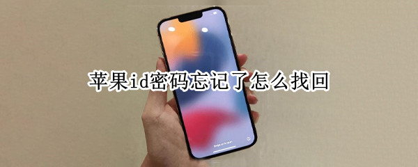 苹果id密码忘记了怎么找回