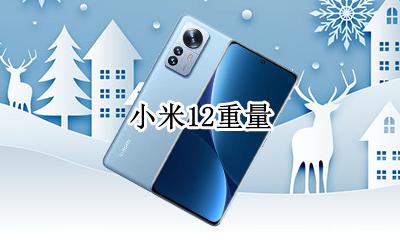 小米12重量 小米12x重量