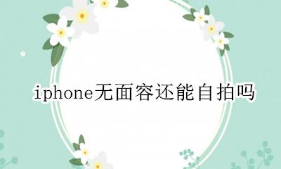 为什么iphone无面容 iphone无面容还能自拍吗