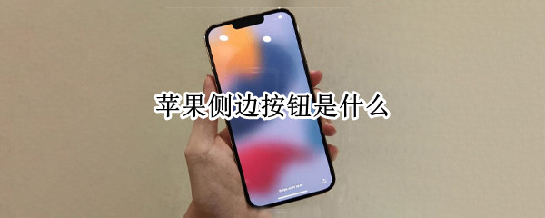 苹果侧边按钮是什么