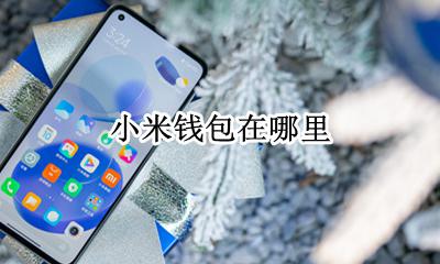 小米钱包在哪里 在哪里打开