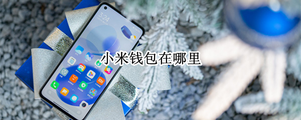 小米钱包在哪里
