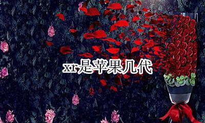 xr是苹果几代 苹果xr是苹果的第几代产品