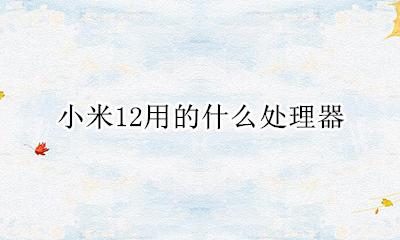 小米12用的什么处理器 小米12搭载的什么处理器