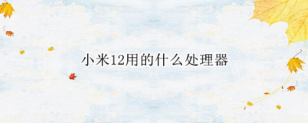 小米12用的什么处理器
