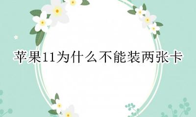 苹果11为什么不能装两张卡 苹果11为什么只能装一张卡