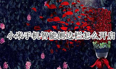miui侧边栏怎么开启 小米手机智能侧边栏怎么开启